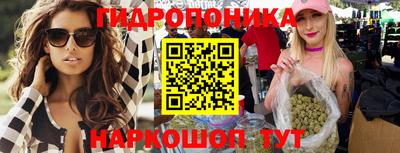 прущие крисы Кулебаки