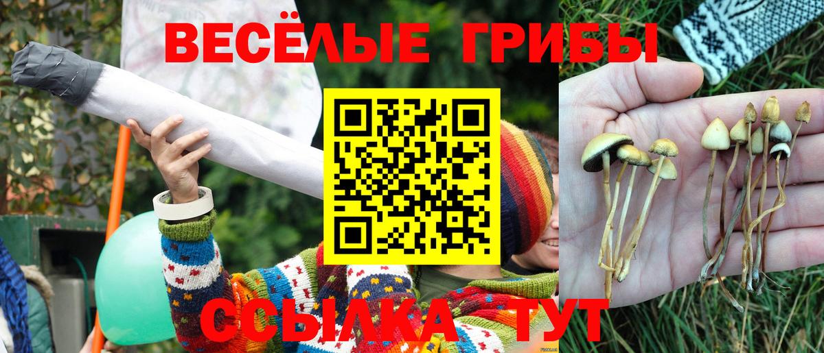 Избербаш  Галлюциногенные грибы мухоморы  Псилоцибиновые грибы мицелий  Вход с VPN 